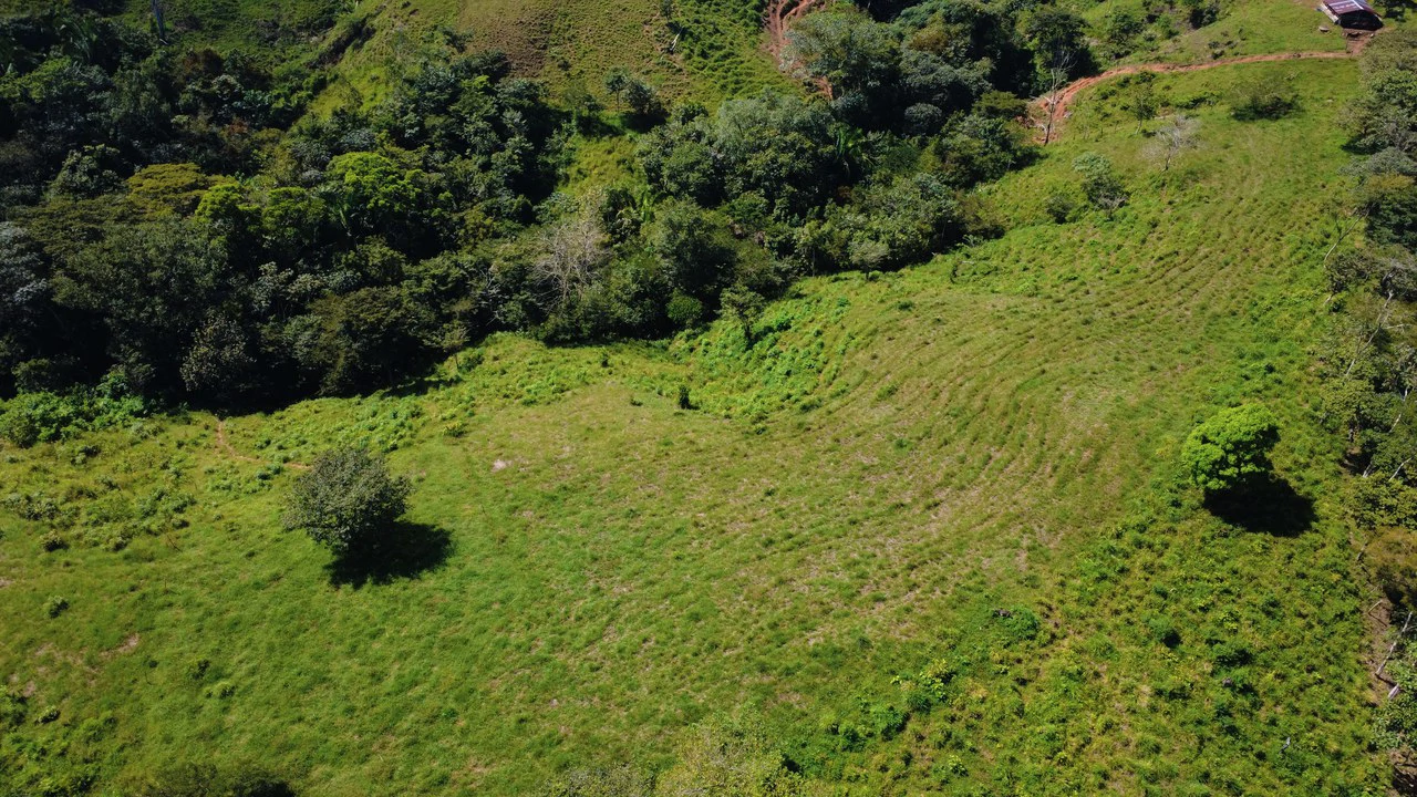 8HA EN VENTA, UBICADA EN BUENOS AIRES, PUNTARENAS.: Countryside Home Construction Site For Sale in Buenos Aires - Gallery image 9
