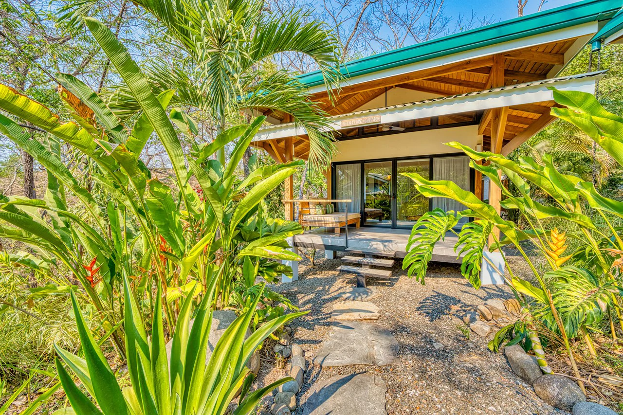 Casa Zona Azul: Tranquil Luxury Retreat in Nosara - Gallery image 16