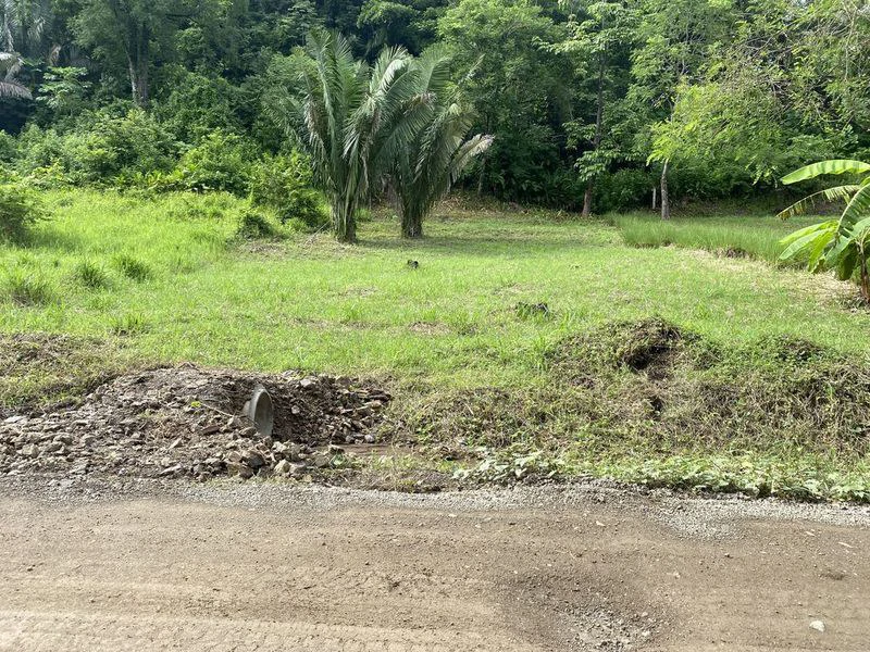 Lote Palmas: Last Affordable Flat Lot in Buena Vista, Just Minutes from Samara Beach - Gallery image 2
