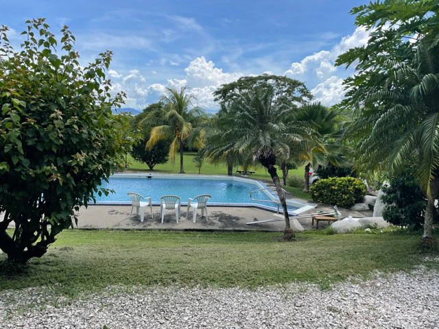 Preciosa finca: Beautiful estate with two houses and an apartment with fine finishes - Gallery image 5