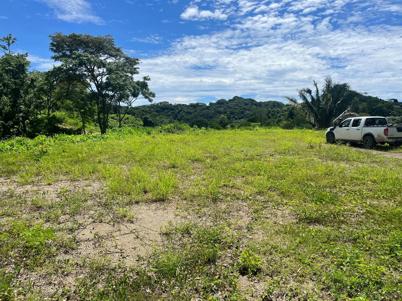 Lot Micky: Perfect Construction Opportunity Near Samara Beach - Gallery image 5