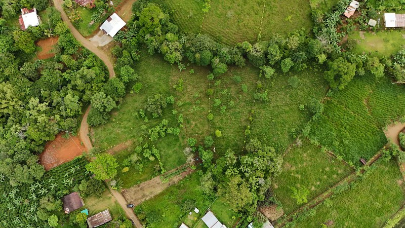 Lote en San Francisco de Cajon: Mountain Agricultural Land For Sale in San Francisco - Gallery image 6