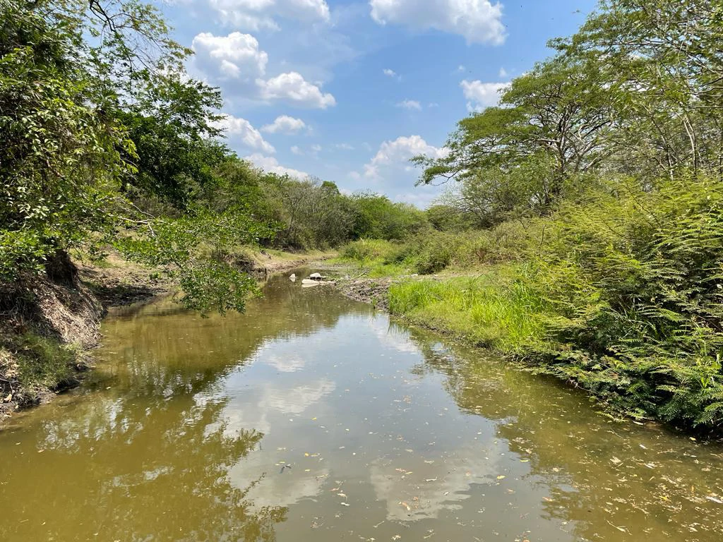 Farm for Sale to Develop Guanacaste Costa Rica - Gallery image 18