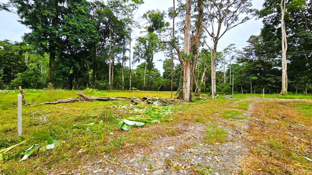 ID 924: El Cortijo: New Community Development in Hone Creek - Gallery image 7