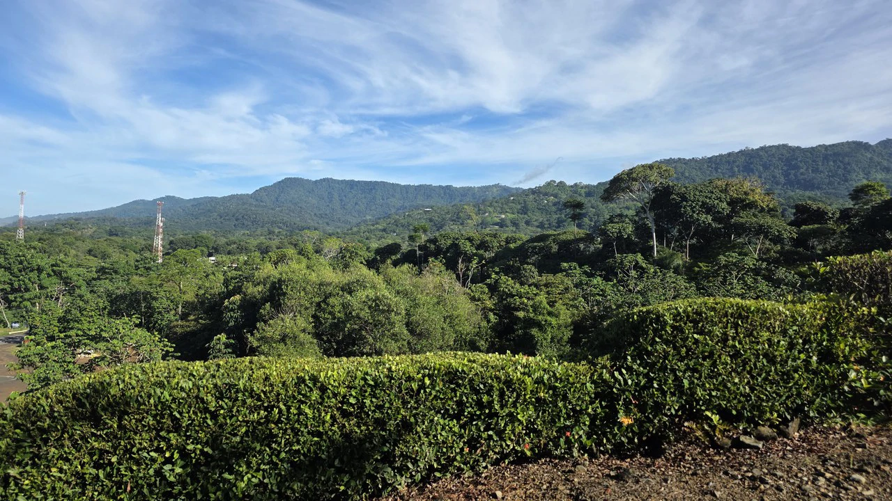 Close-In Uvita Ocean View Homes and apartments Calle BM, Uvita, Puntarenas, Costa Rica - Gallery image 8