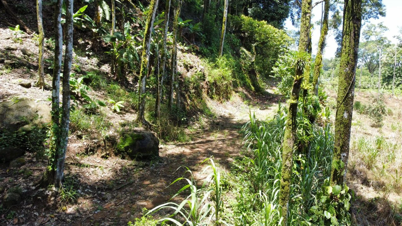 TERRENO EN VENTA, PUNTARENAS.: Mountain Home Construction Site For Sale in Hatillo - Gallery image 19