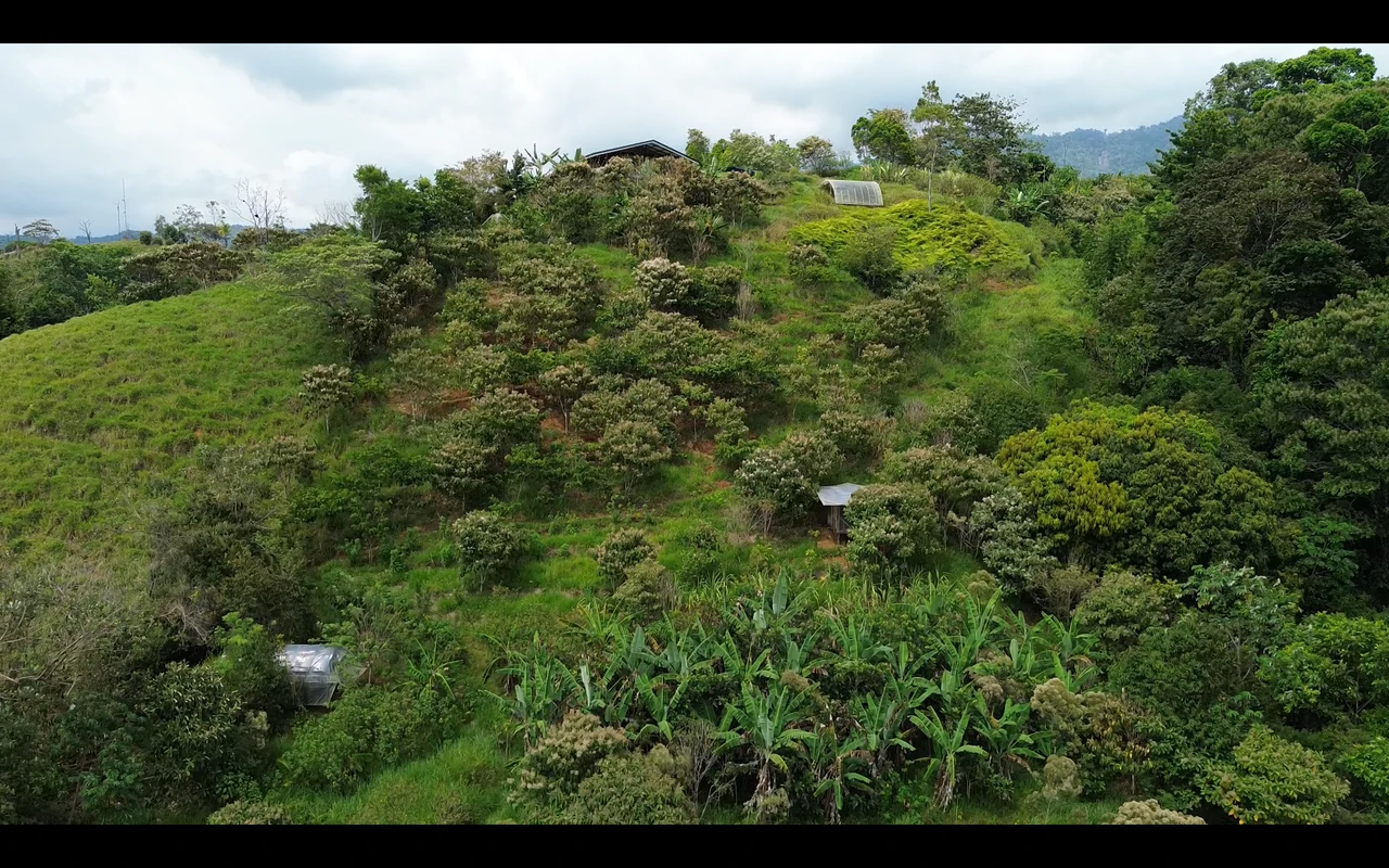 Self Sustainable Luxury Estate with Ocean & Waterfall Views in San Salvador Costa Rica - Gallery image 24