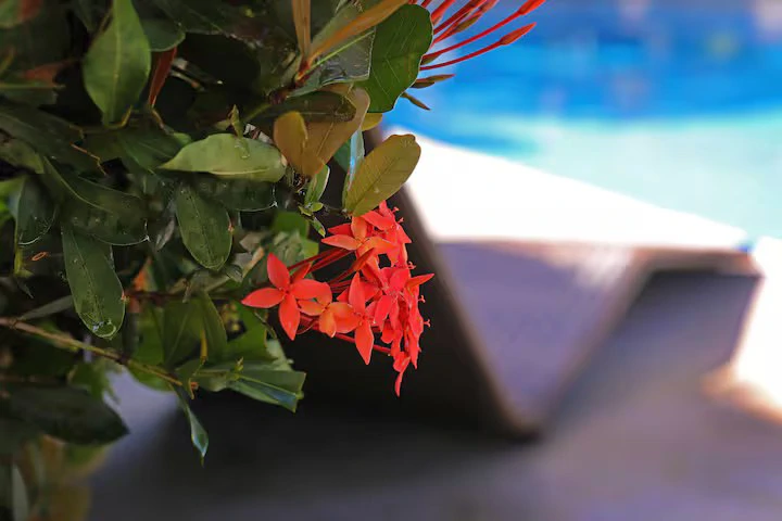 Amazing Casa Lago in Monterrey!: Private Lake and Close to Beaches! - Gallery image 35