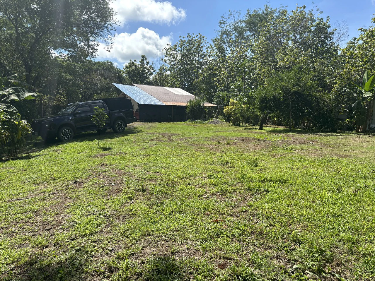 7-Hectare Farm with Teak Plantation, Existing Home & Eco-Development Potential Near Parrita, Costa Rica - Gallery image 15