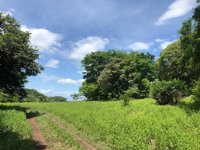 Amazing 50% discount for Huge ocean-view farm for sale surrounded by soft rolling hills and pristine nature - Gallery image 32