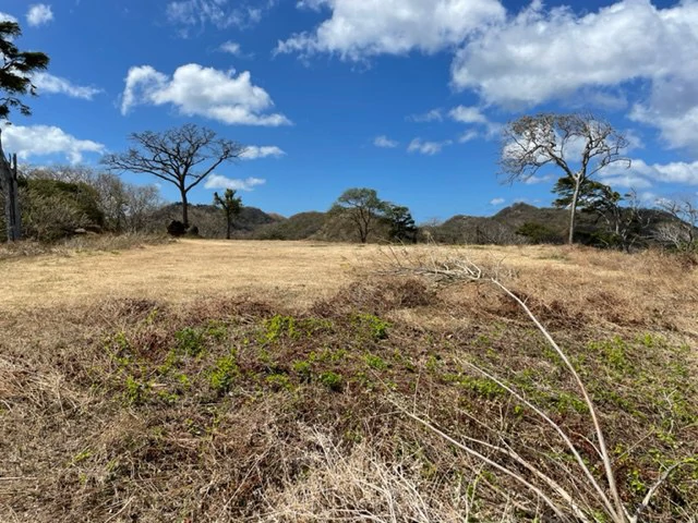 Countryside and Near the Coast Home Construction Site For Sale in El Jobo - Gallery image 5