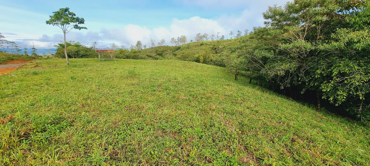 Lote 46 RISE: BEAUTIFUL 1.37-ACRE LOT WITH CREEK FOR SALE IN THE HEART OF THE RESIDENCIAL RISE, SANTA ELENA - Gallery image 3