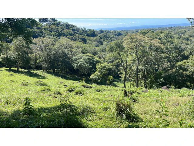 Nature Paradise Farm for sale in the mountains of Quebrada Grande, Building potential property 30 minutes away from Liberia - Gallery image 35