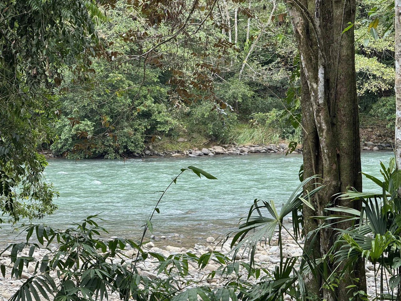 Riverfront Oasis on the Barú River Playa Dominical - Gallery image 4
