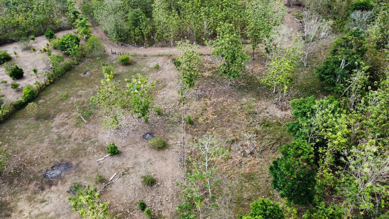 Off the grid property | Located in a privileged area, surrounded by natural beauty: Mountain Home Construction Site For Sale in Damas - Gallery image 3