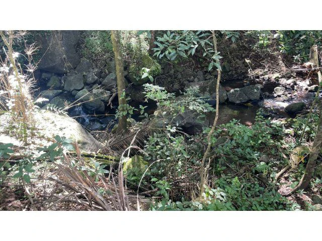 Nature Paradise Farm for sale in the mountains of Quebrada Grande, Building potential property 30 minutes away from Liberia - Gallery image 9
