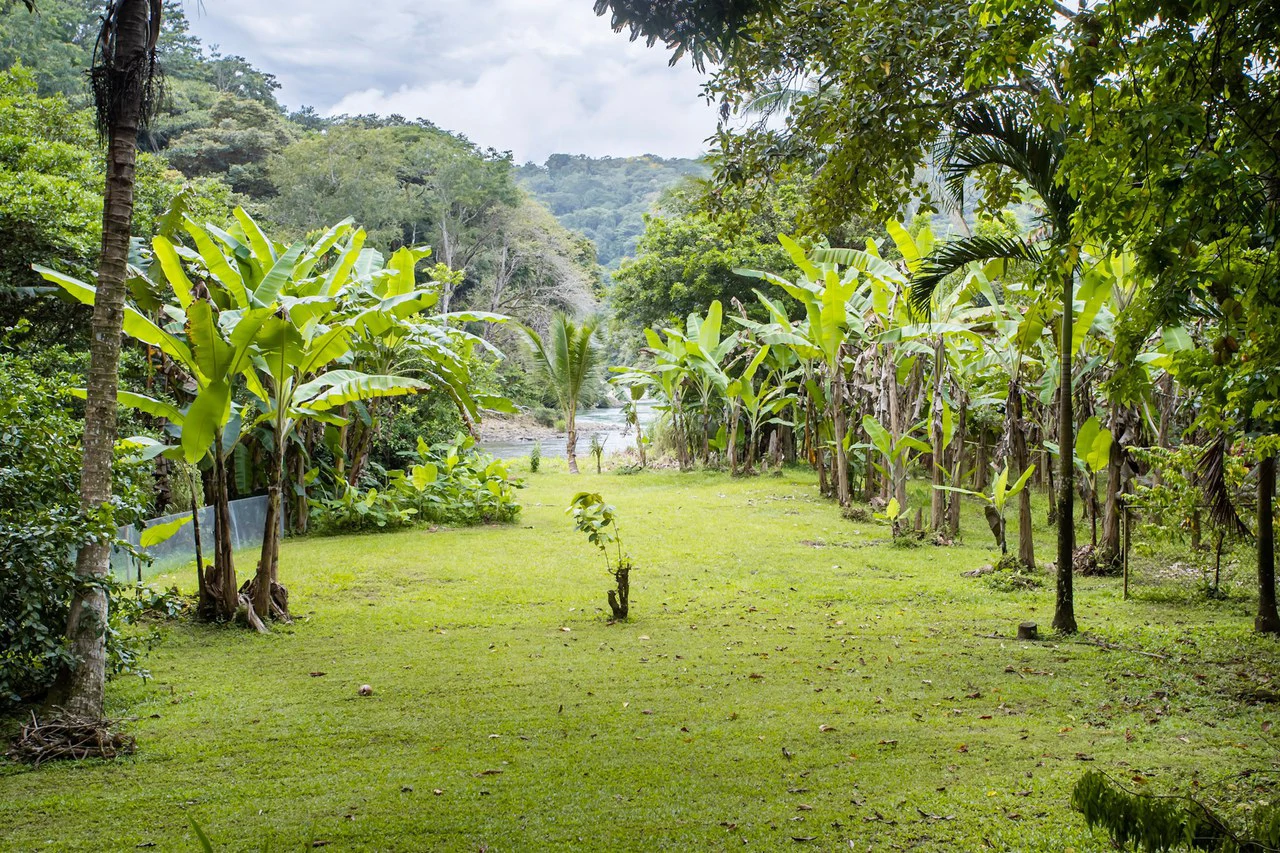 0.81 ACRES – Turn-Key Riverside Business & 3 Bedroom Home Near Dominical!!!: Near the Coast and Riverfront Hotel/Resort/Hostel For Sale in Dominical - Gallery image 60