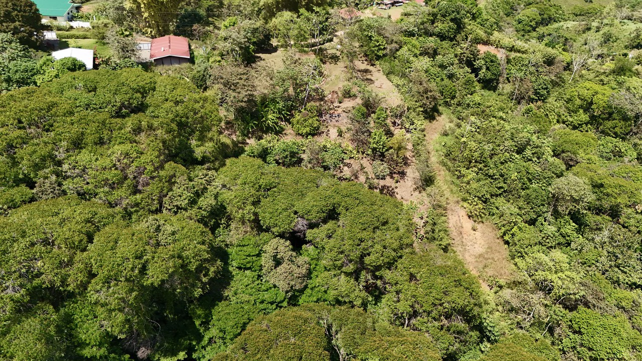 New 1,4 Acre lot in Platanillo – With Legal Water - Gallery image 12