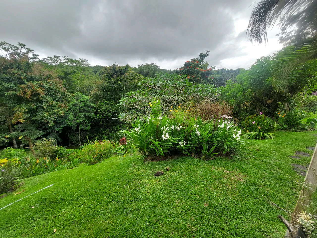 VILLA  ESPERANZA - Gallery image 35