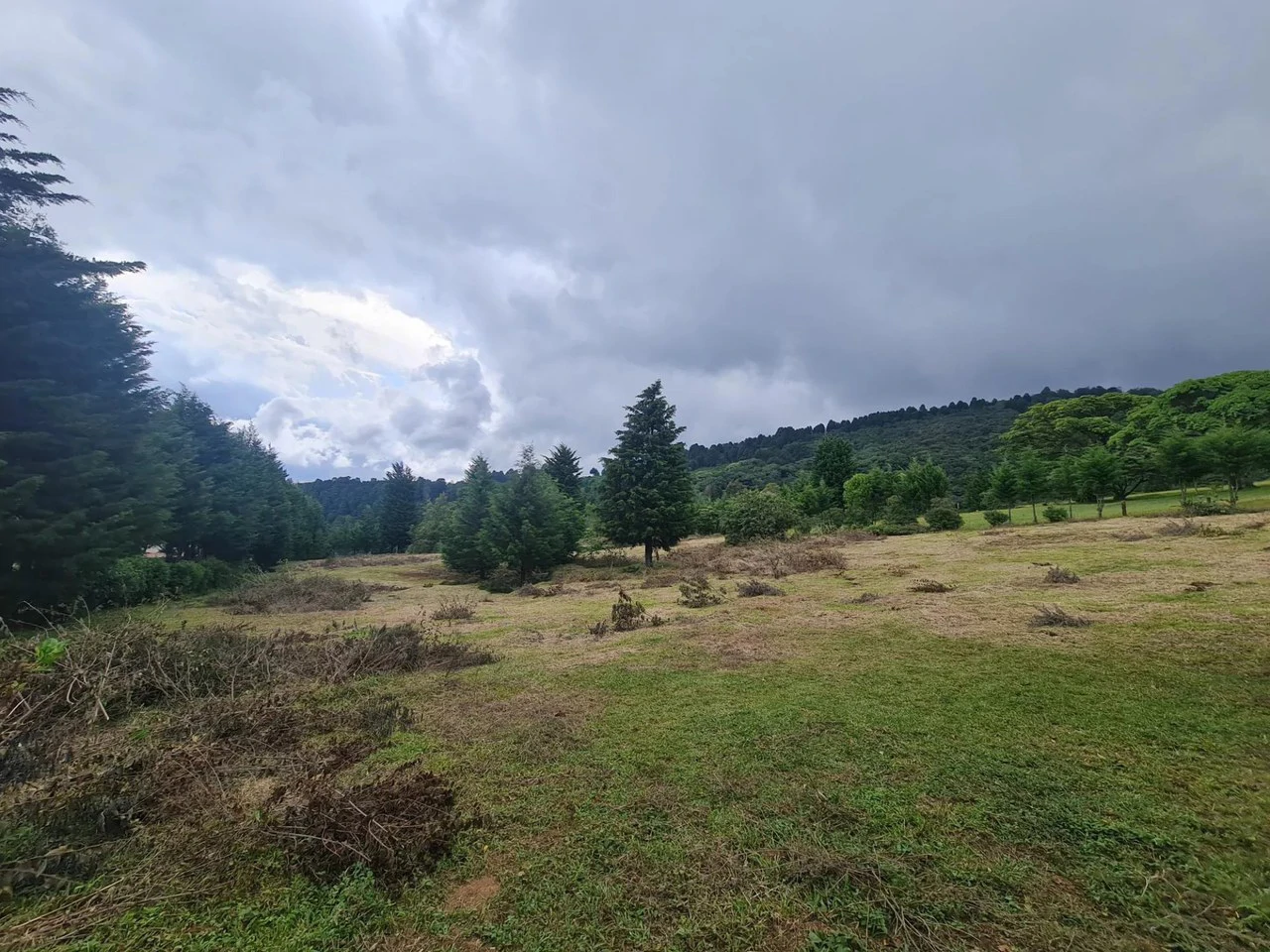 Agricultural Land For Sale in San Isidro