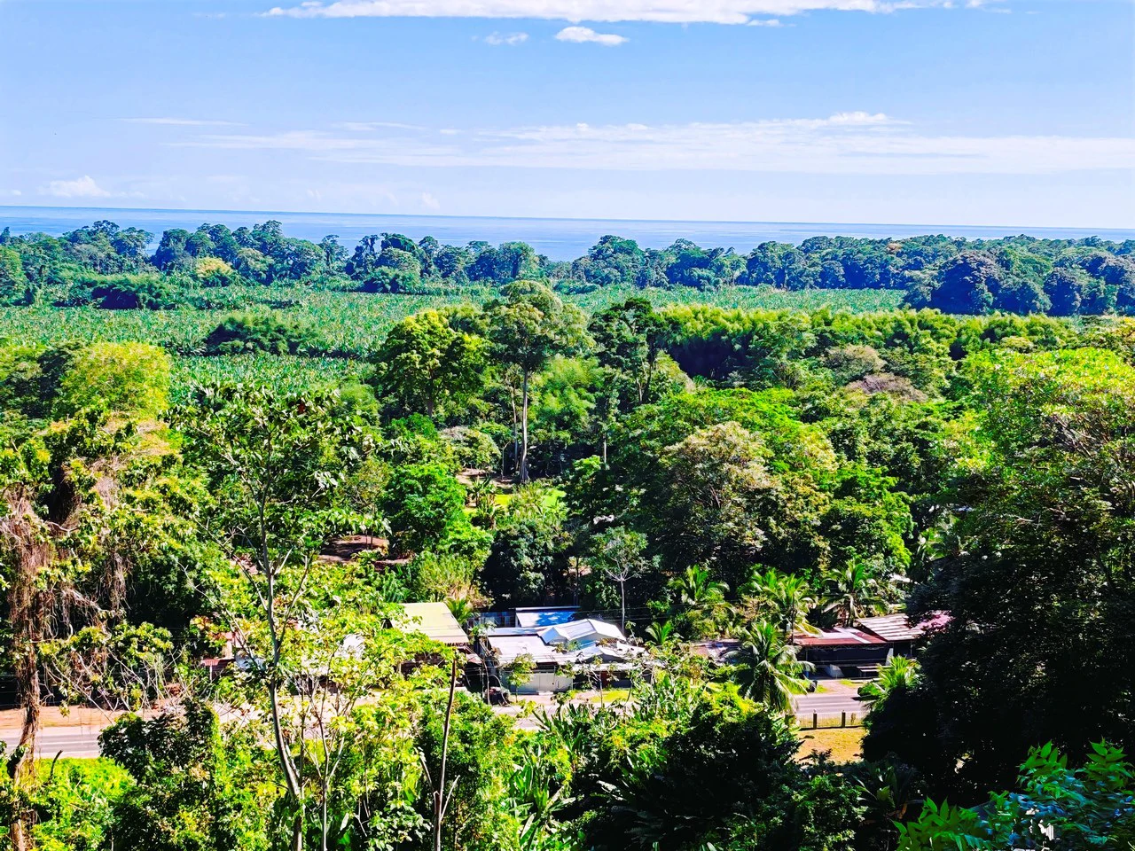 ID 4193: Ocean View Residential Lot for Sale near Puerto Viejo, Caribbean Costa Rica - Gallery image 12