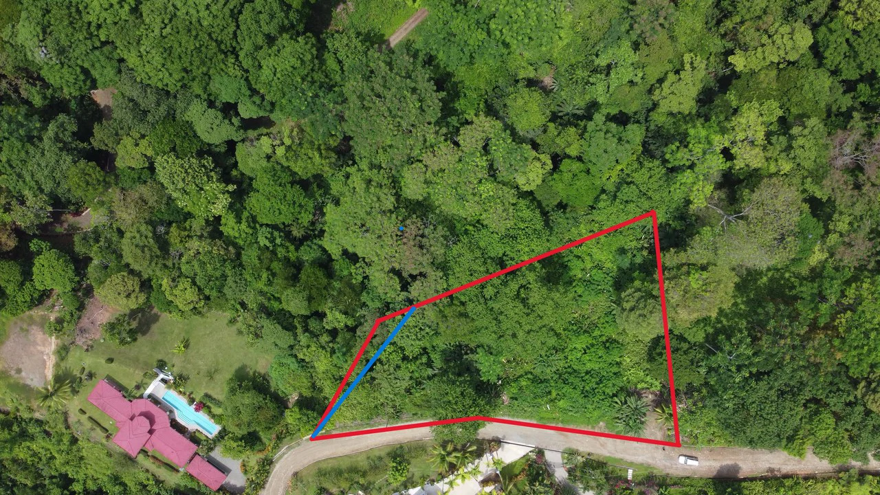 Ojochal - 1 Acre Ready To Build Jungle Lot, Ocean Breezes in Wildlife Corridore - Gallery image 12