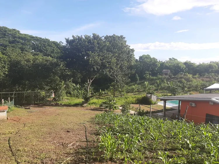 Organic Finca Eco Dreams: $799,000 USDOrganic Finca Eco Dreams – Sustainable Eco Farm for Sale Near Playa Naranjo, Costa Rica Luxury Self-Sustainable Farm, Solar-Powered Estate & Investment Property o - Gallery image 36