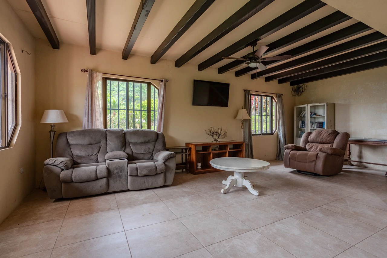 Expansive 27 Acre Farm with Residence in San Isidro del General - Gallery image 20