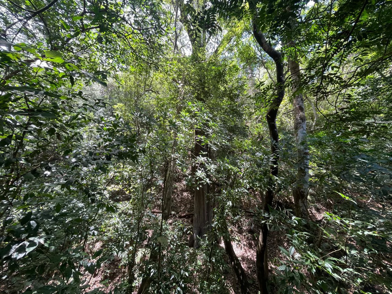 Ocean view property for sale Rodeo Ciudad Colon San Jose Costa Rica - Gallery image 13