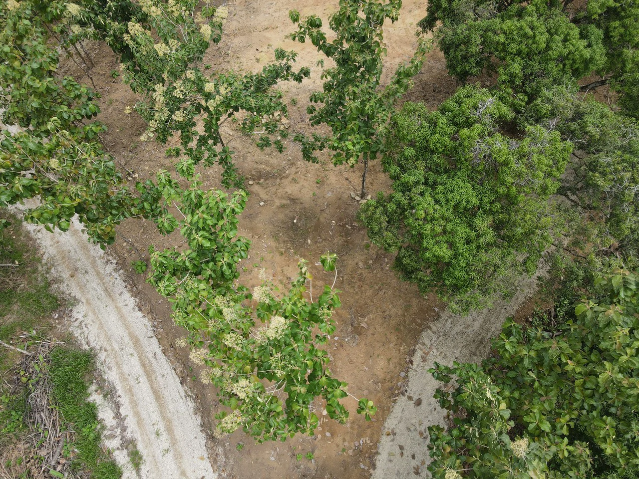 River Frontage Lot For Sale in Costa Rica Residential & Commercial Zoning - Gallery image 22