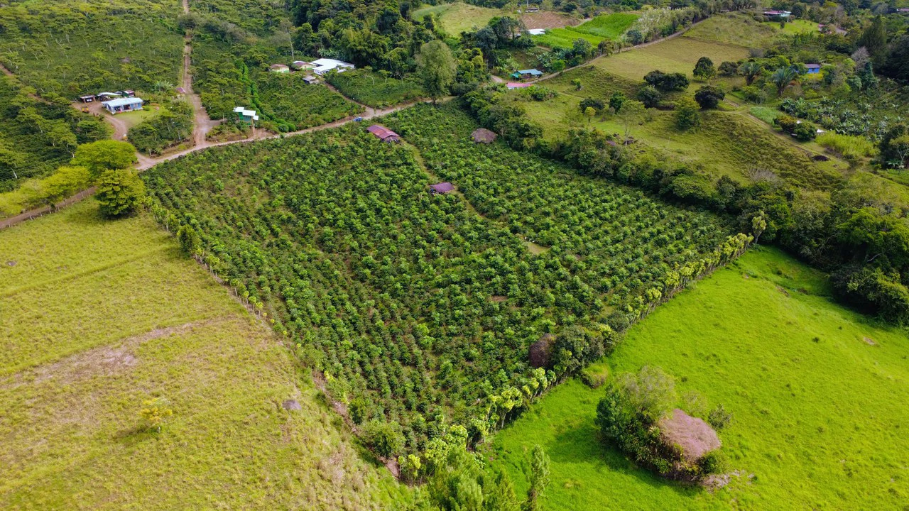 Countryside Agricultural Land For Sale in Santa Elena de San Isidro - Gallery image 3