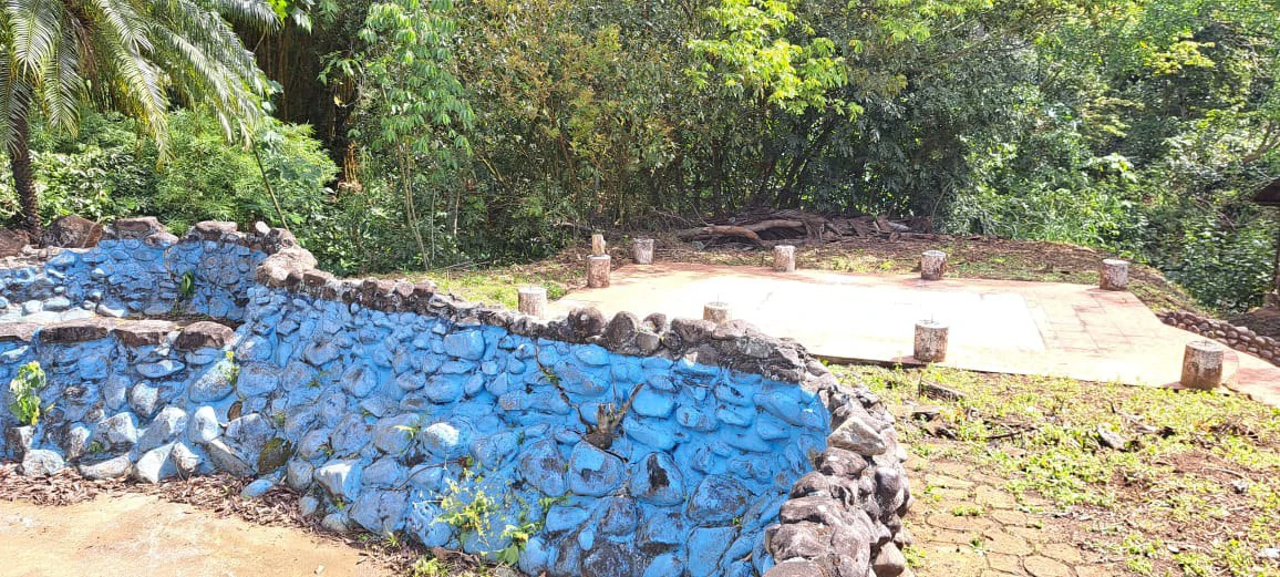 Land for Sale in Sarchí, Alajuela - Gallery image 5