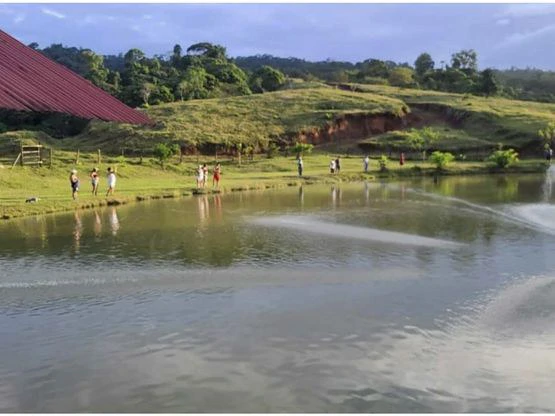 Serene Jungle Farm in Limon Province - Gallery image 57