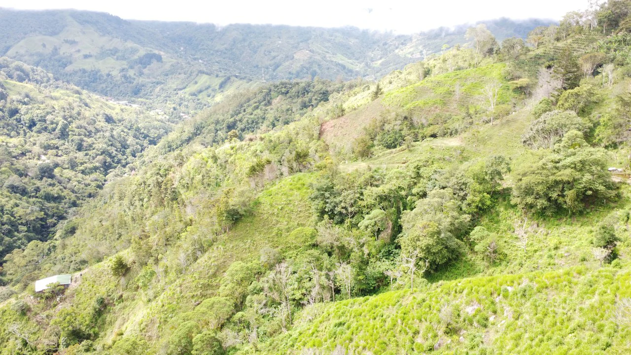 LOTE EN HERRADURA RIVAS.: Mountain Agricultural Land For Sale in San Isidro del General - Gallery image 14