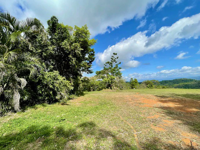 LG-002 Terreno Top Nuevo Arenal: Premium 1.45-Acre Gated Homesite in Nuevo Arenal | Panoramic Lake & Volcano Views, Private Boat Dock & Clubhouse - Gallery image 16