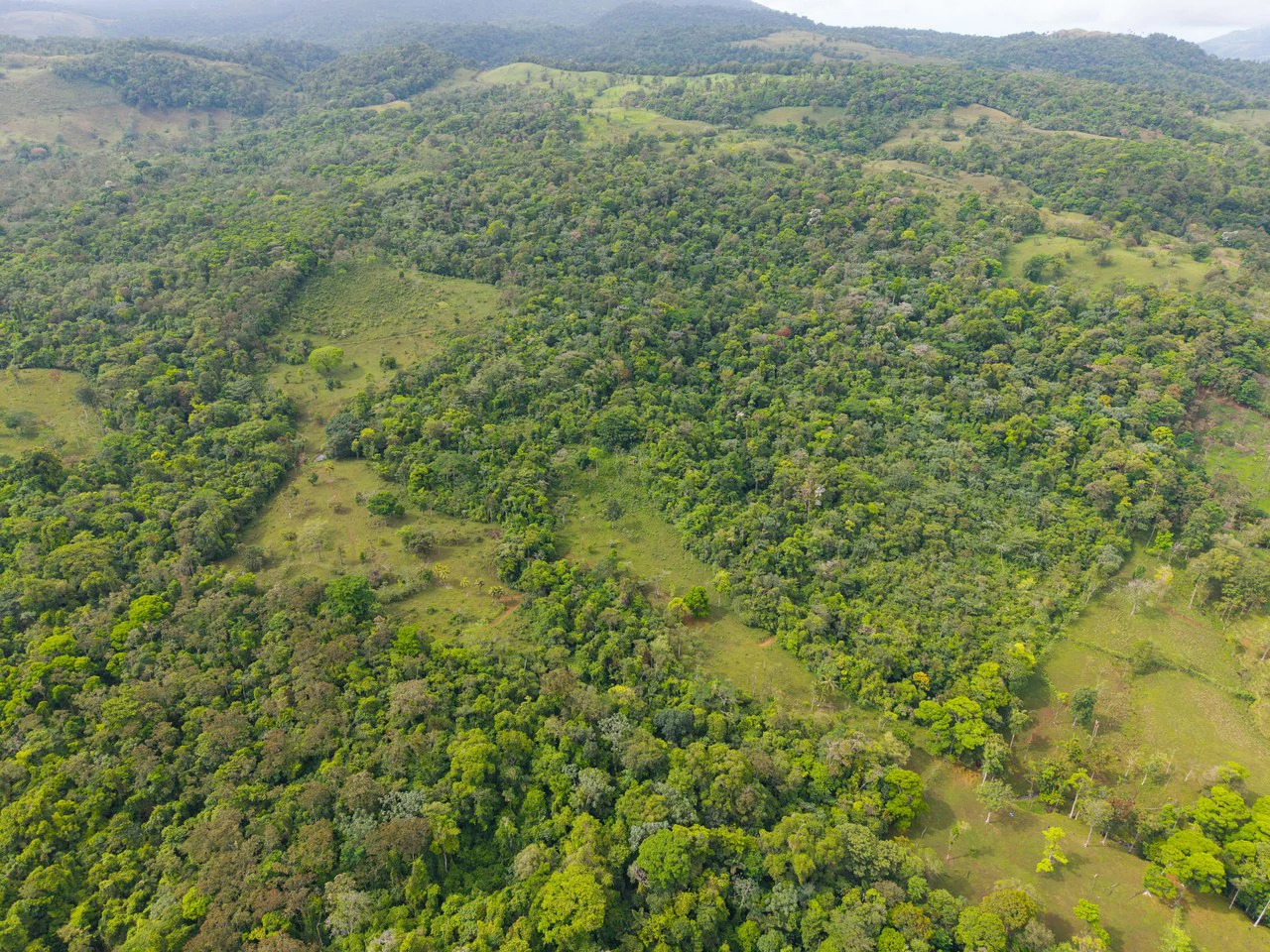 Finca Las Zompopas-Río Celeste: 113-Acre Biodiverse Property in Bijagua, Ideal for Eco-Tourism, Private Retreats, or Sustainable Development - Gallery image 17
