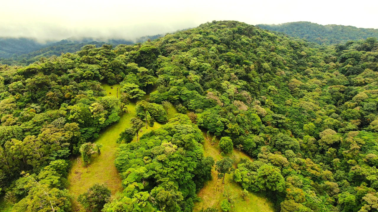 Hidden Paradise in Monteverde. Sierra Verde SV0125: 5 Hectares with Spectacular Views, a Beautiful and Cozy Main House and Caretaker’s Home Just 10 Minutes from Monteverde - Gallery image 8