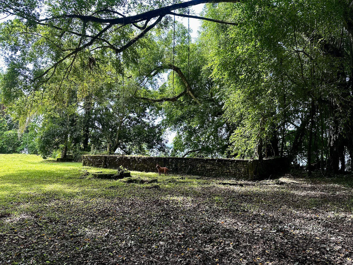 Titled Waterfront Property Golfito Bay - Gallery image 14