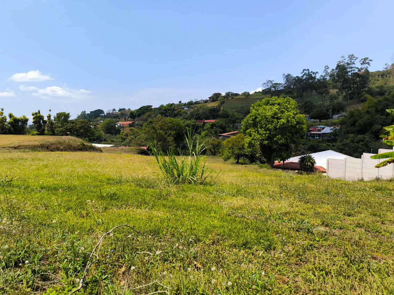 Lot for sale in San Miguel Grecia - Gallery image 6