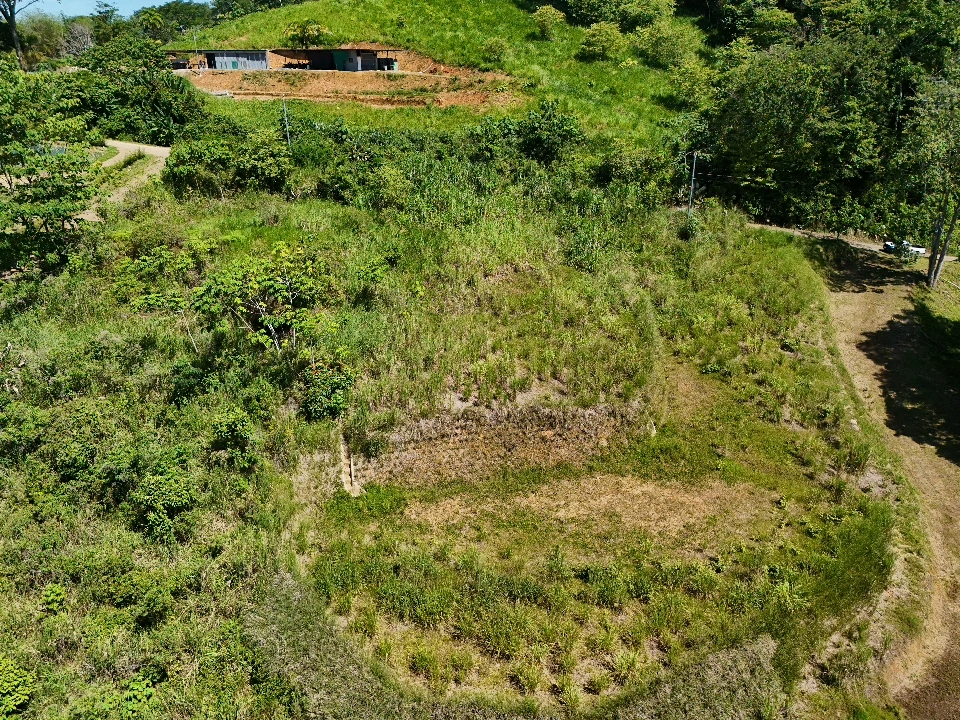 Near the Coast Home Construction Site For Sale in Ojochal - Gallery image 5