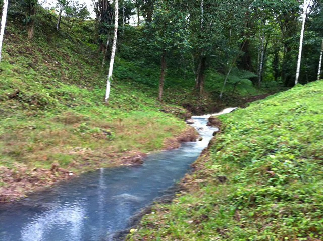 Cold & Hot springs surrounded by an overgrown farm, taken back by nature - Gallery image 69