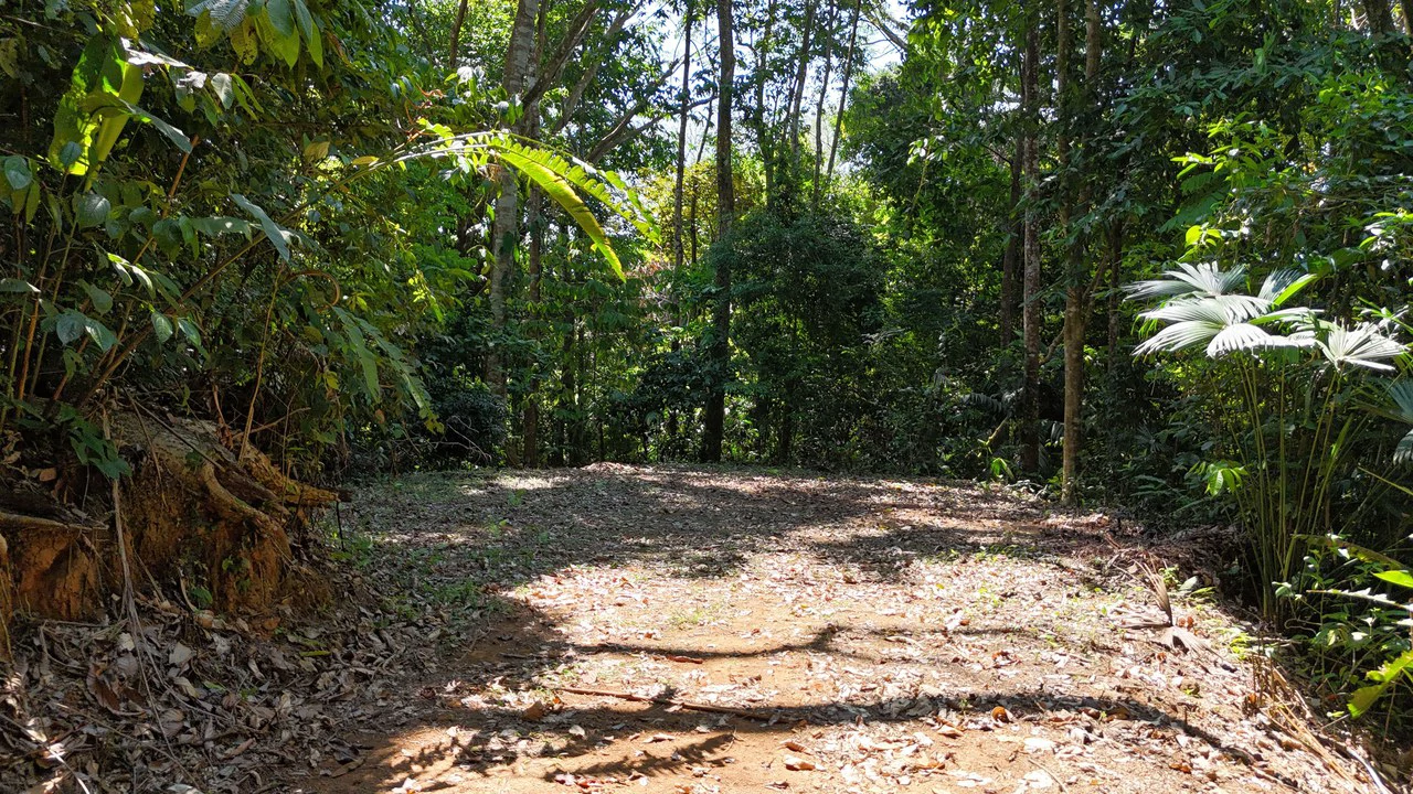 Exceptional Development Opportunity 71 acre Riverfront & Ocean View in Hatillo - Gallery image 26