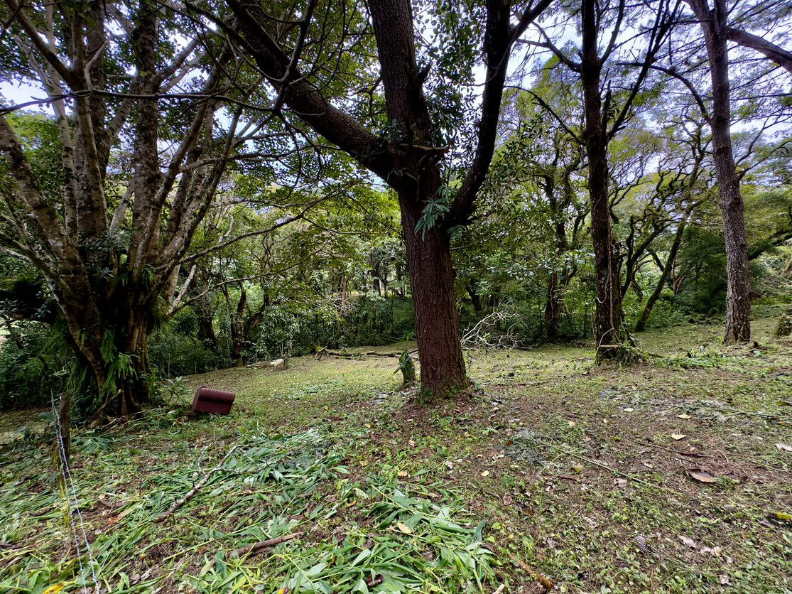 Live in harmony with nature in San Rafael de Heredia - Gallery image 14