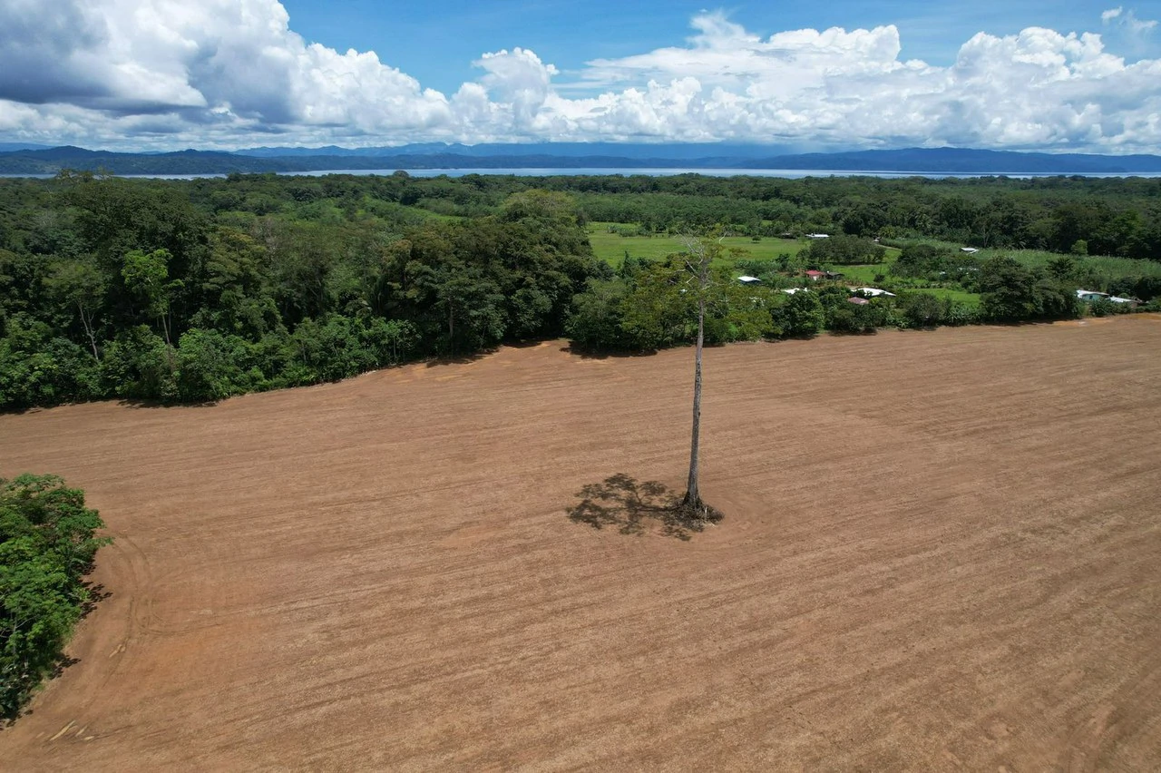 Finca La Palma, Puerto Jimenez: Excellent location ideal for development - Gallery image 3