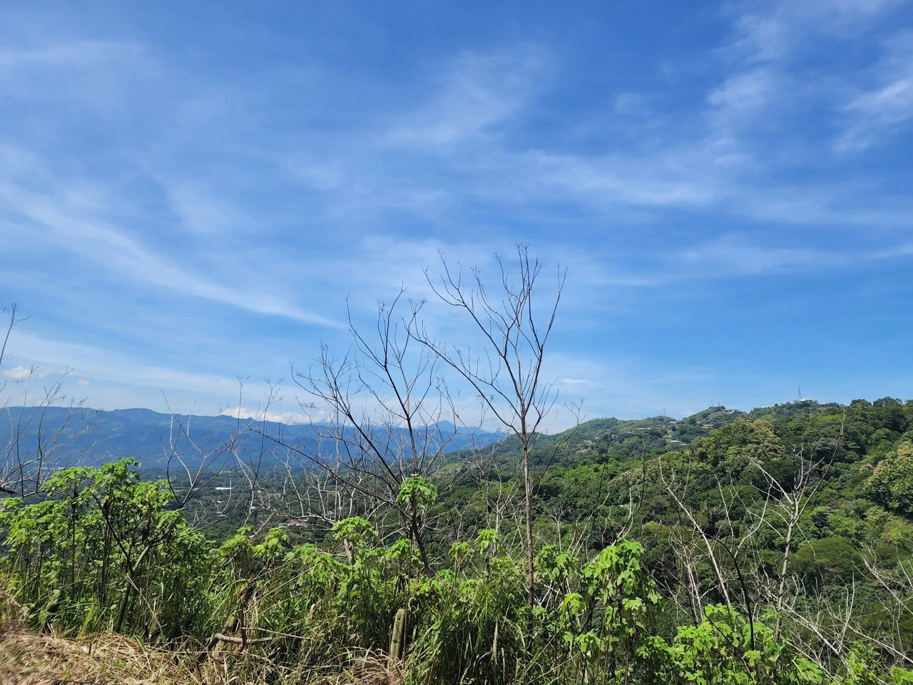 Countryside Home Construction Site For Sale in Atenas - Gallery image 15