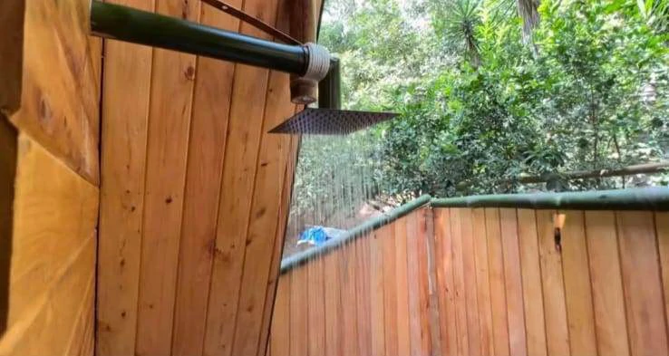 Parrita Jungle home: Luxury Jungle Estate with Airbnb cabin - Gallery image 8