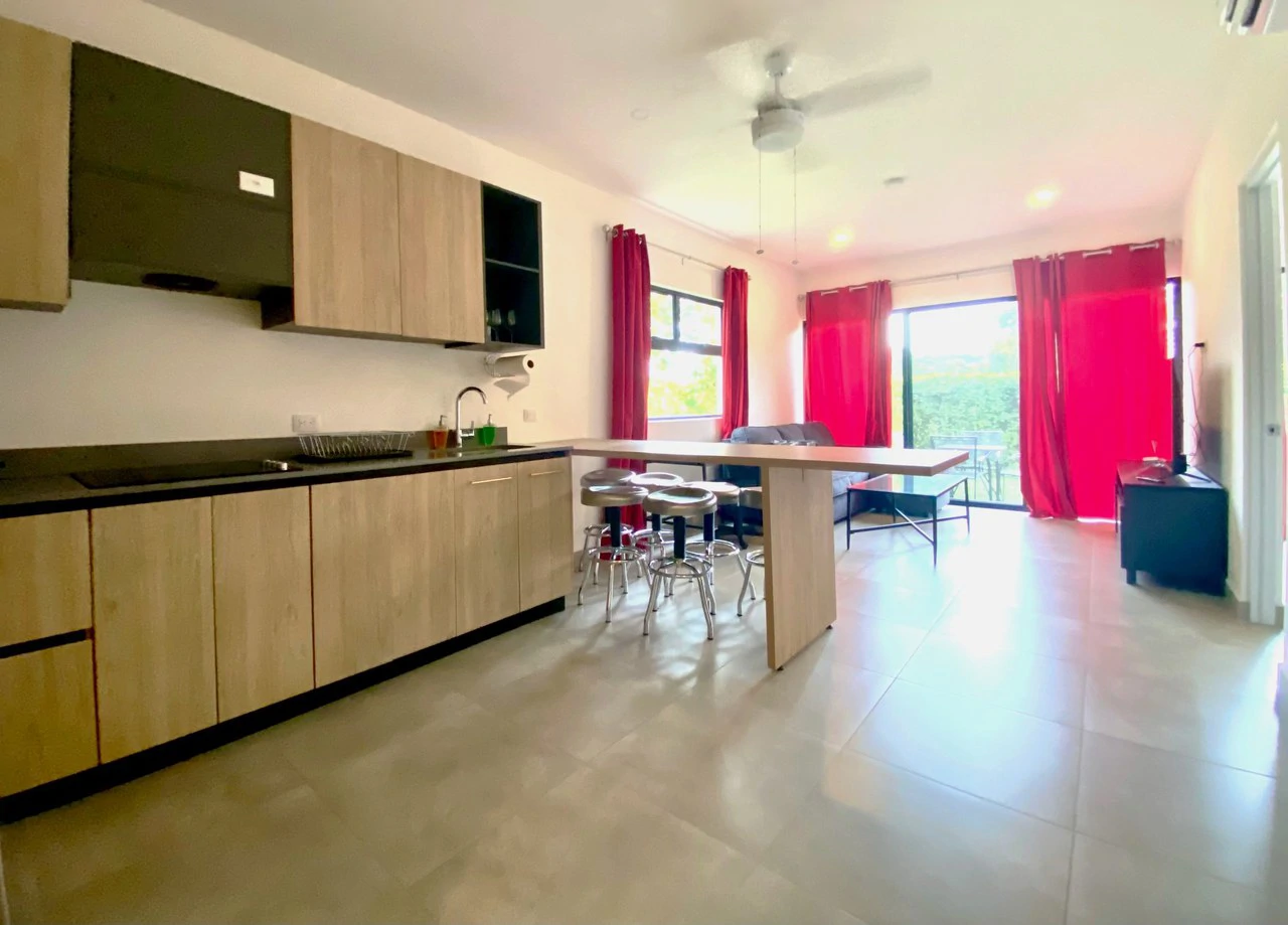 AZUL DEL MAR 14:$219,950 USD: NOW $185,000 USD with one-of-a-kind location with private beach, security, and amazing amenities!: Luxury resort-style living. Furnished and  Financing available - Gallery image 3