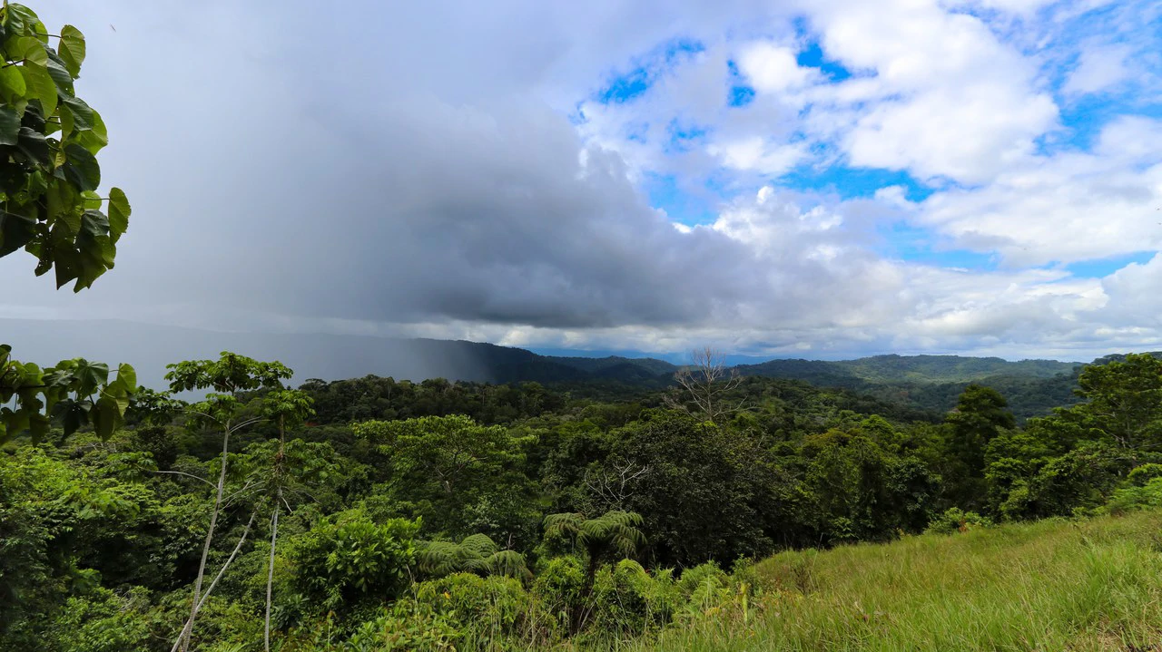 Unique Development Property Overlooking the Pristine Golfito Bay and Golfo Dulce - Gallery image 16