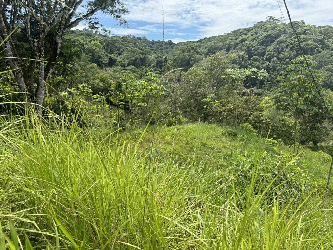 2.6 ACRES – 3 Bedroom Home With Beautiful Views, Several More Building Sites, Perfect For Small Farm!!! - Gallery image 32