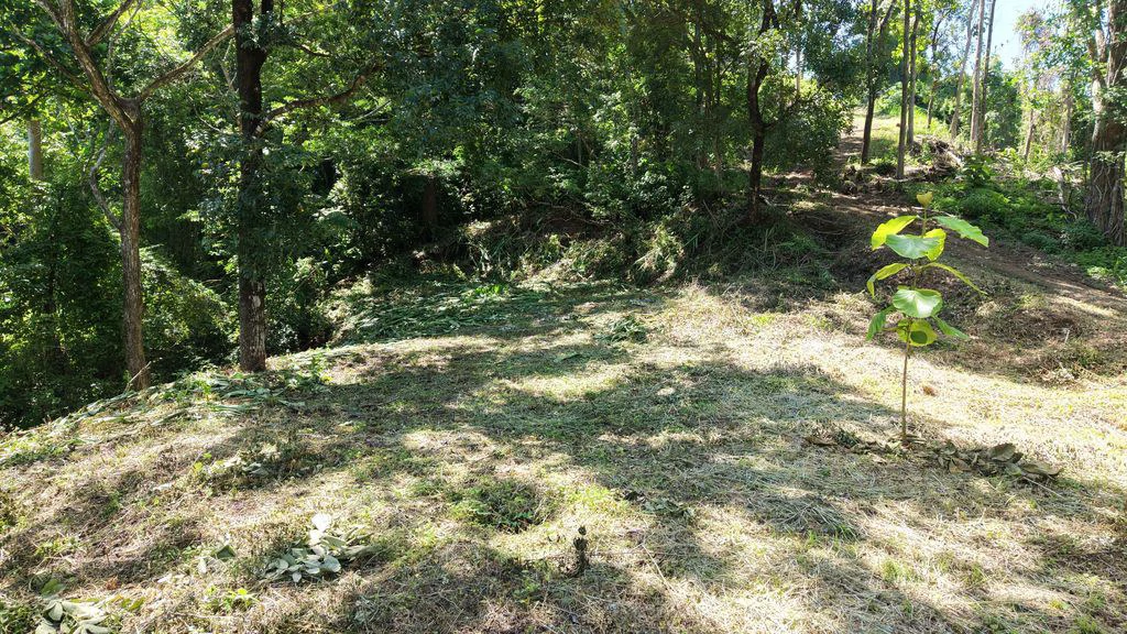 Lote Budry: Exclusive Elevated Lot with Stunning Mountain & Jungle Views Near Samara Beach - Gallery image 6